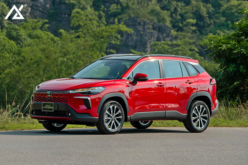 xe toyota cross dan ppf